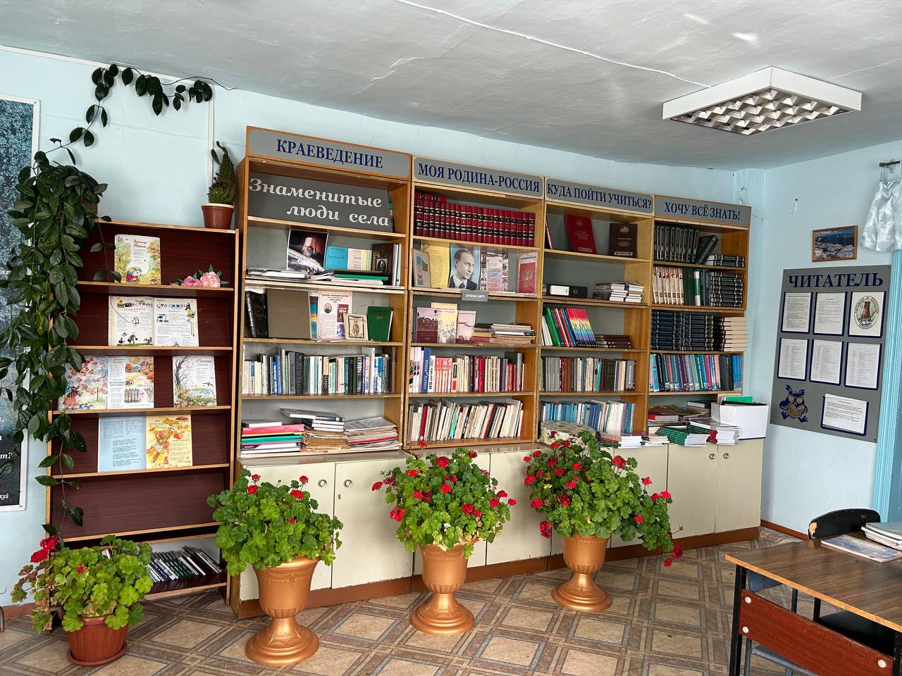 Изображения библиотеки.